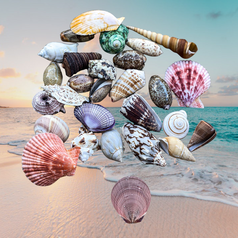 Casting Shells 