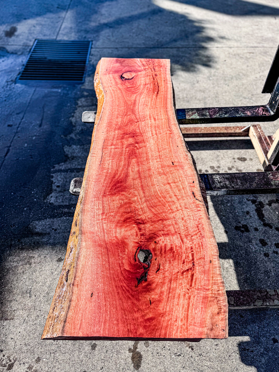 Jarrah– Health of Mind Art
