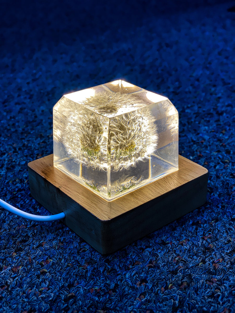 Led box light set | Health of Mind Art